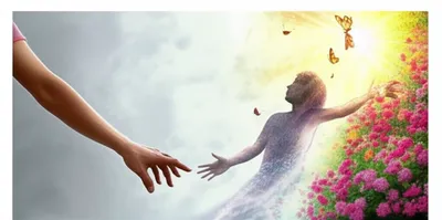 Illustration recalls - Image 1