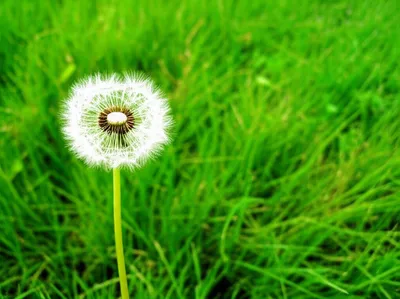 Illustration occasional - Image 1