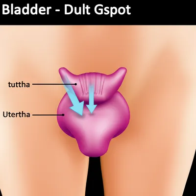 Illustration squirt - Image 1