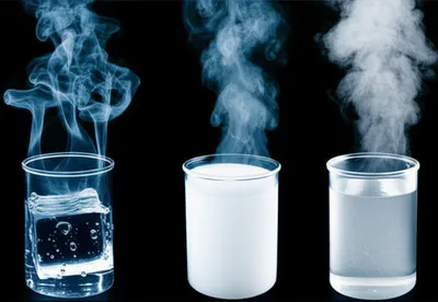 Illustration transform - Image 1