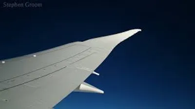 Illustration wingtip - Image 2