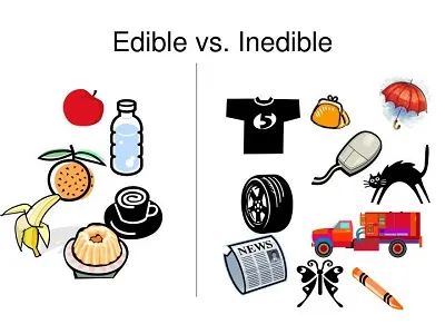 Illustration edible - Image 2