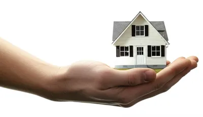 Illustration outsized - Image 1