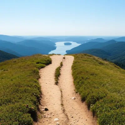 Illustration wider - Image 1