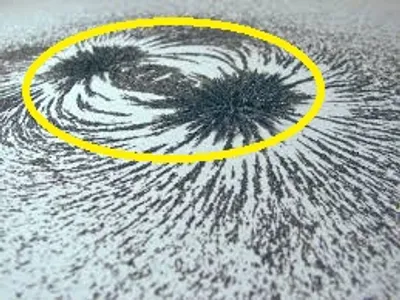 Illustration thick - Image 3