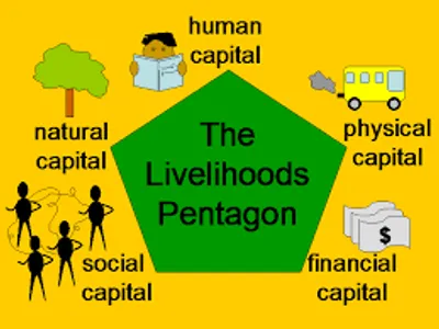 Illustration livelihood - Image 2