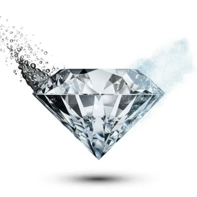 Illustration polymorphism - Image 1