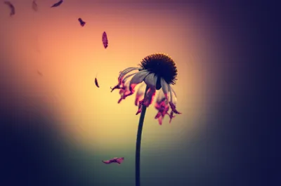 Illustration passing - Image 1