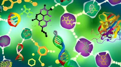 Illustration biomolecules