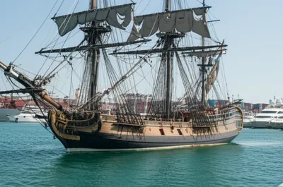 Illustration foreign - Image 1