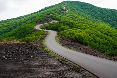 Illustration converts - Image 1