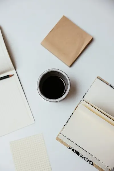 Illustration devoir - Image 2