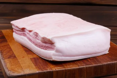 Illustration wallop - Image 1