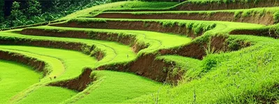 Illustration berms - Image 1