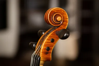 Illustration scrolls - Image 1