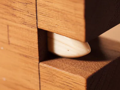 Illustration tusks - Image 1