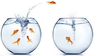 Illustration migrate - Image 3