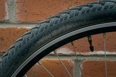 Illustration rased - Image 1