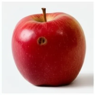 Illustration blemish - Image 1