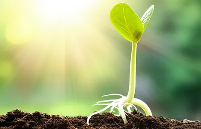 Illustration intended - Image 1