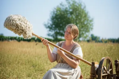 Illustration distaffs - Image 1