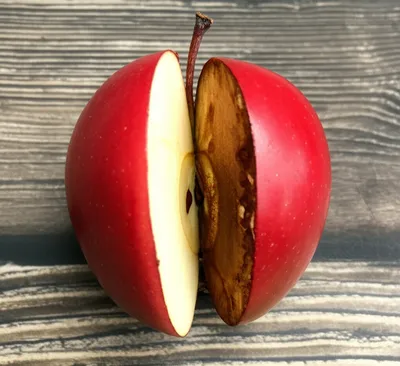 Illustration divisive - Image 1