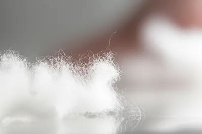 Illustration lint - Image 1