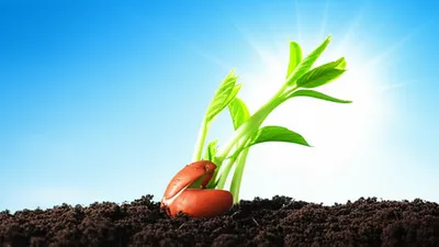 Illustration sprung - Image 1