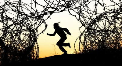 Illustration escaped - Image 1