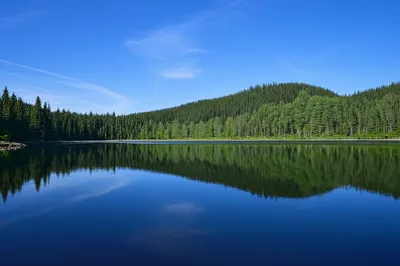 Illustration integrity - Image 1