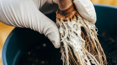 Illustration slurry - Image 1