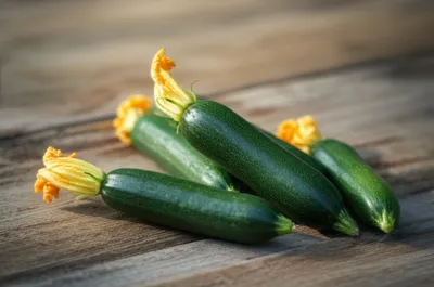 Illustration courgettes