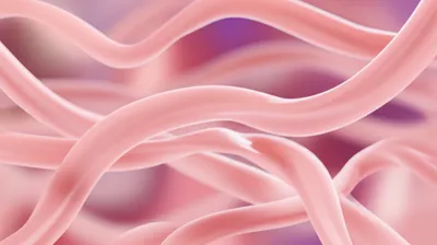 Illustration smooth - Image 1