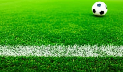 Illustration sidelines - Image 1