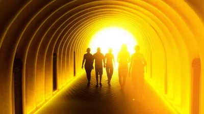 Illustration goes - Image 1