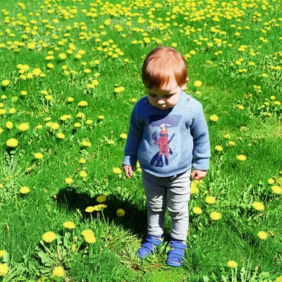 Illustration tinkled - Image 1