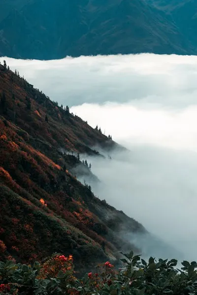 Illustration sunk - Image 2