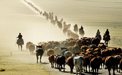 Illustration drove - Image 1