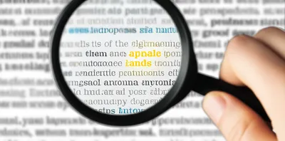 Illustration emphasized - Image 2