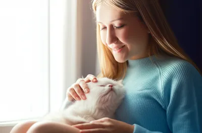 Illustration pussy - Image 1