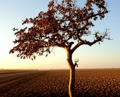 Illustration latest - Image 1