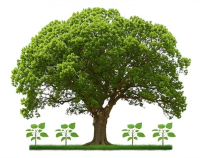 Illustration senior - Image 1