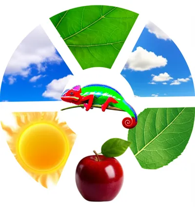 Illustration did - Image 1