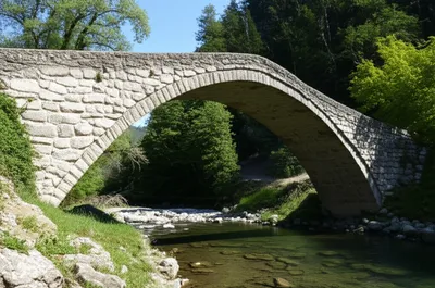 Illustration arched - Image 1