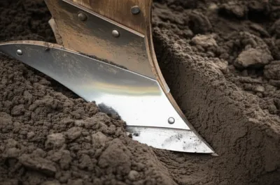 Illustration plowshare