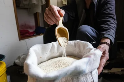 Illustration stinting - Image 1