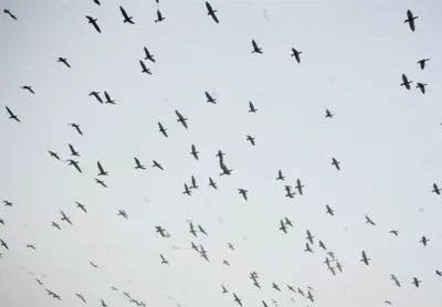 Illustration unbound - Image 1