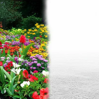 Illustration annihilated