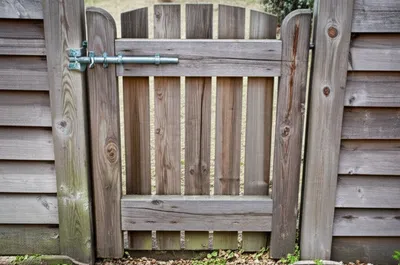 Illustration gate - Image 1