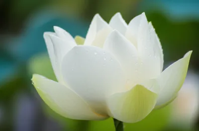 Illustration washing - Image 1